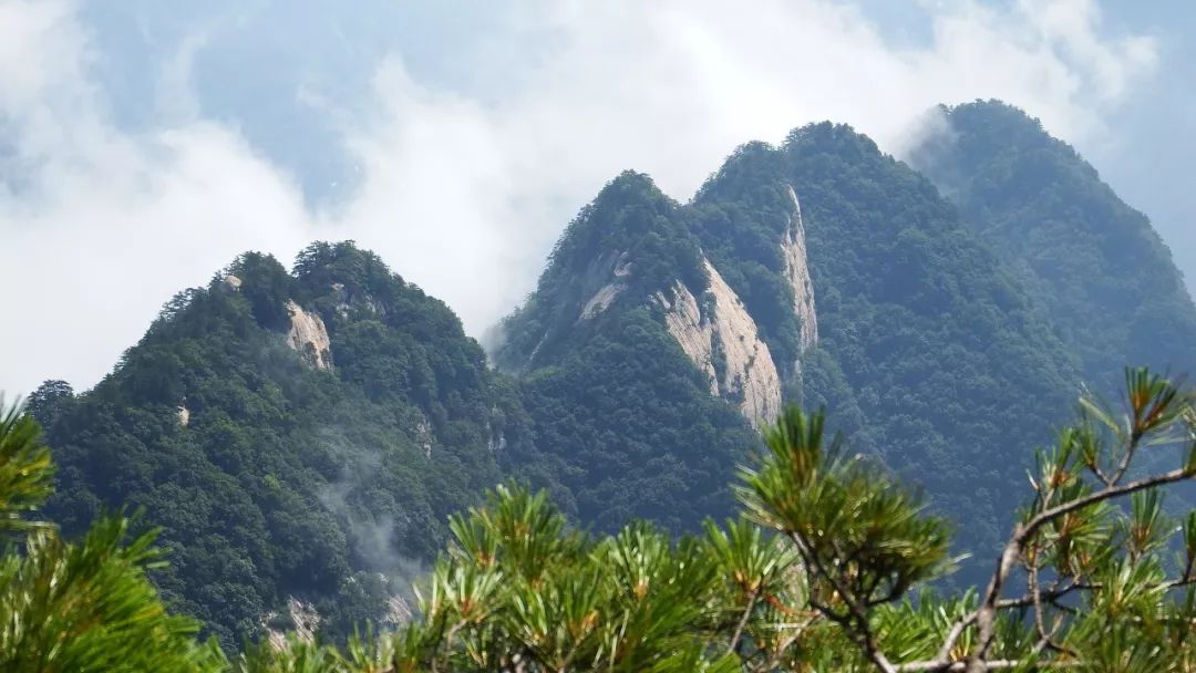 Image Description